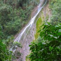 Cafayate and the Yungas of Argentina